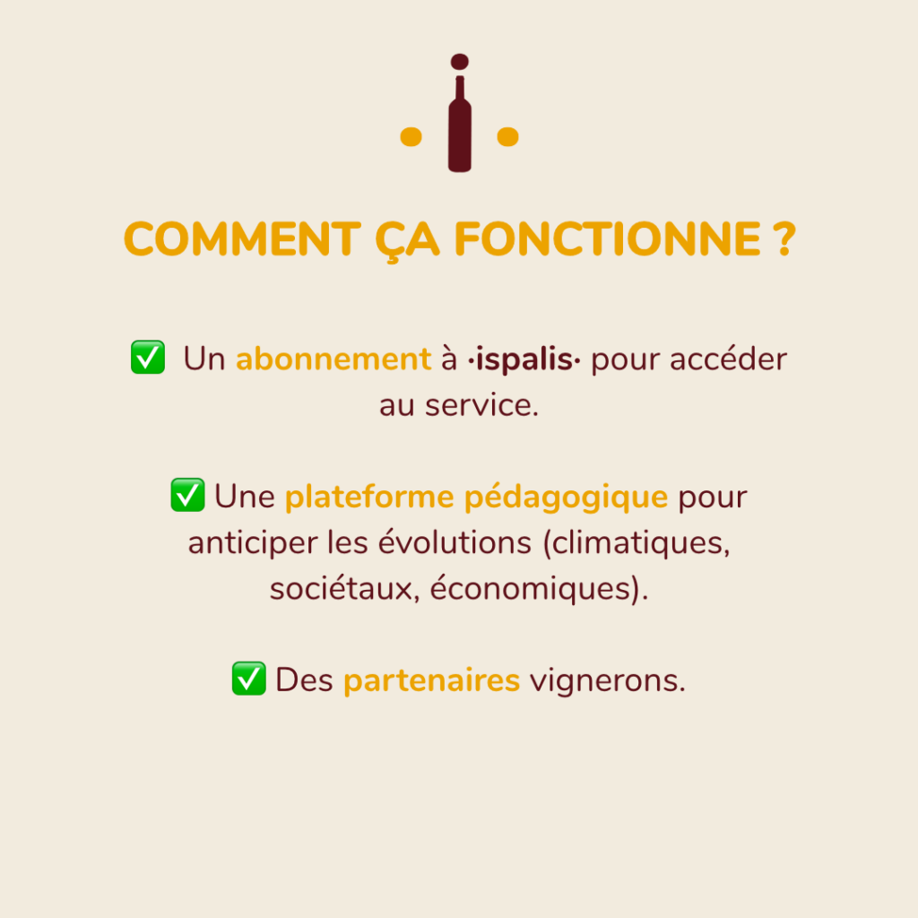 Taille personnalisée – 119