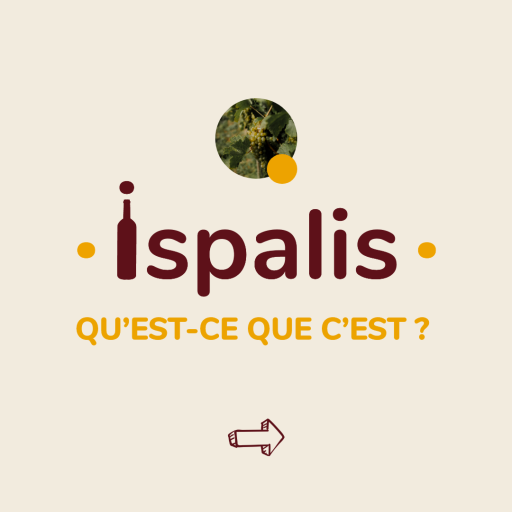 Taille personnalisée – 121